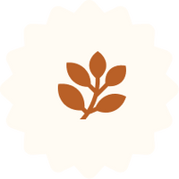 Herbal Extract Infused